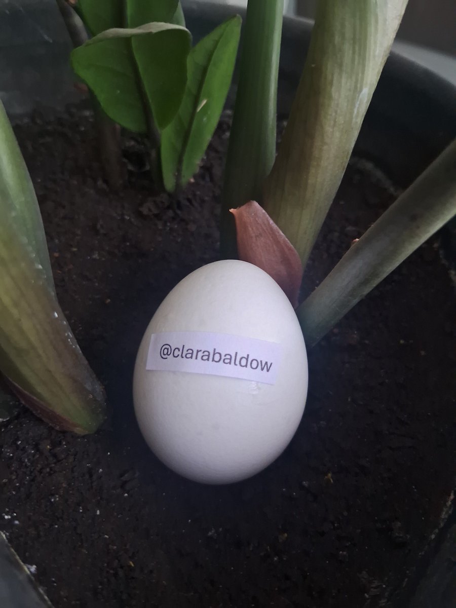 Usuovo's tweet photo. @clarabaldow thanks for the follow! https://t.co/7Z3c8qysOS