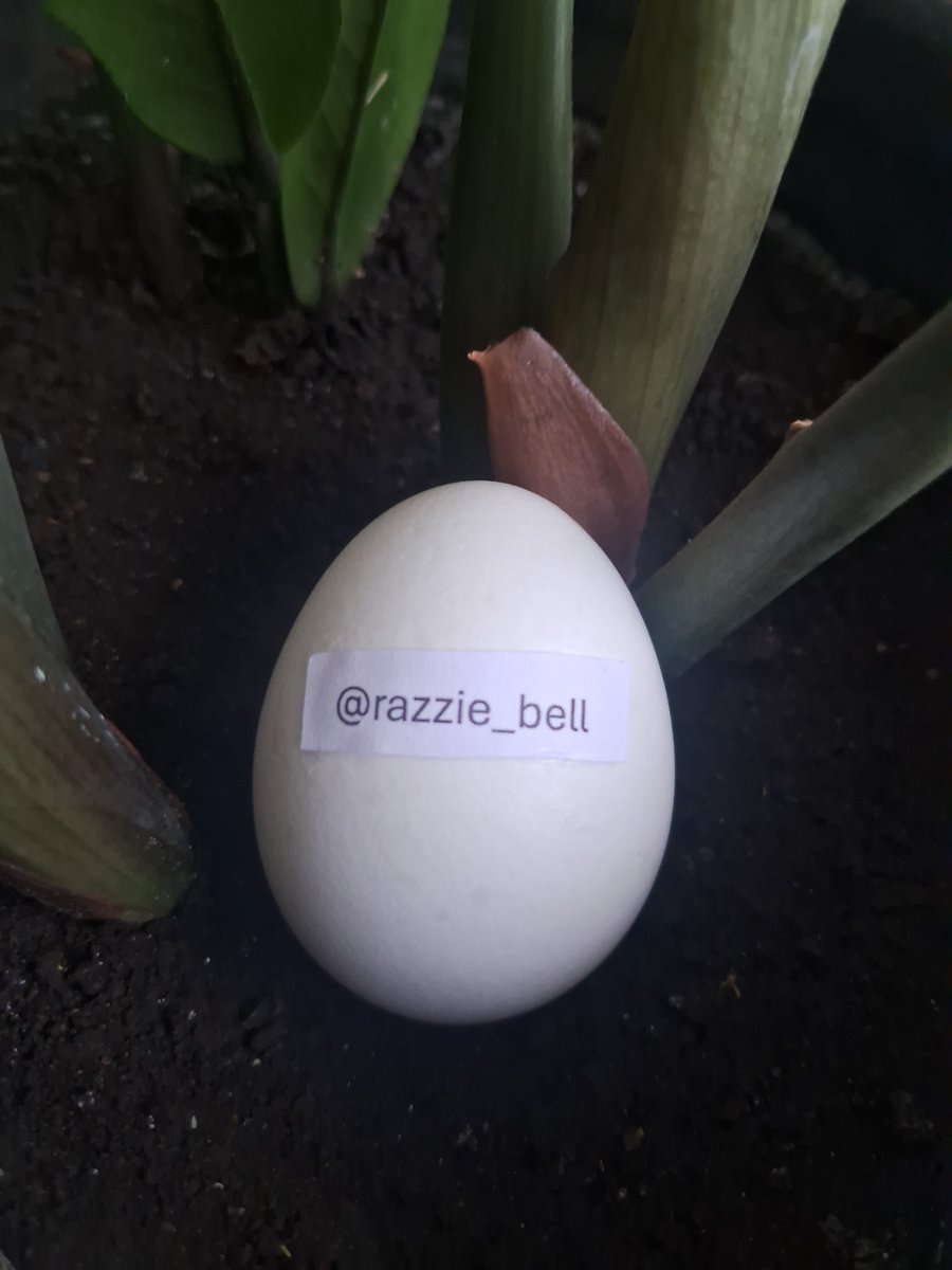 Usuovo's tweet photo. @razzie_bell thanks for the follow! https://t.co/MAv8h4Pevh
