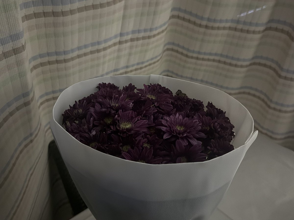 badriyahamaad's tweet photo. لِــيت العُمر يُهدى 
  أبهدِيـك عُمرِي
تستَاهل الأيَام يا زهُو الأيَام🤎 https://t.co/Pdfo3GxDgX