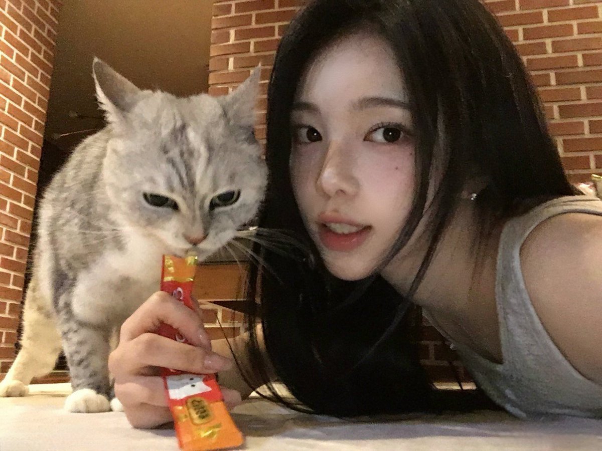 H2H_INA's tweet photo. 261001 #IAN weverse post

“Aru, makasih banget udah mau foto bareng aku....”

#Hearts2Hearts #하츠투하츠 #H2H
@Hearts2Hearts https://t.co/8u5juLW5Lh