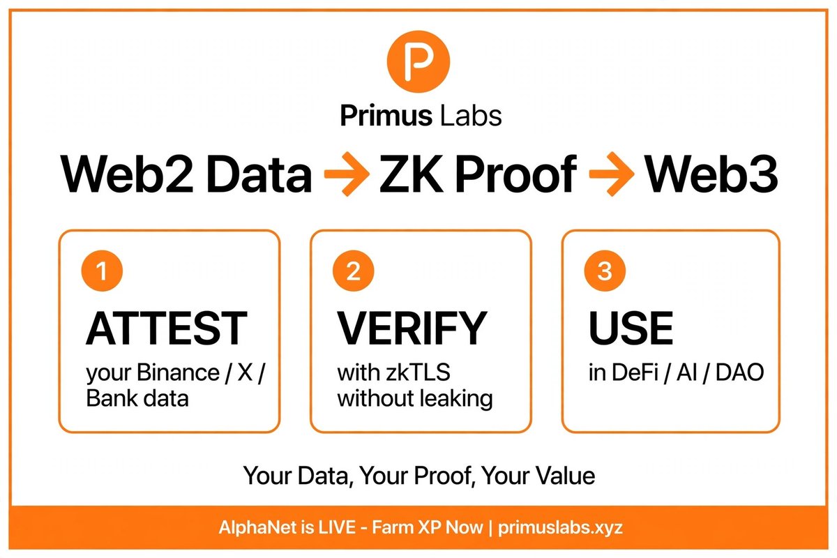 apik1980042's tweet photo. @primus_labs https://t.co/77sNSn792k