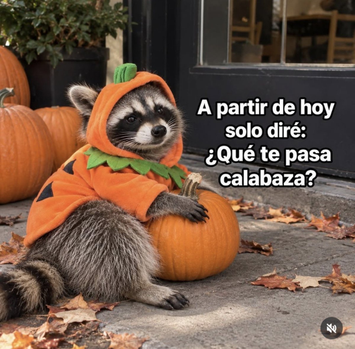 FridaDeSauri's tweet photo. ¿Qué te pasa, calabaza? ☺️ https://t.co/u8Ju2oCVxg