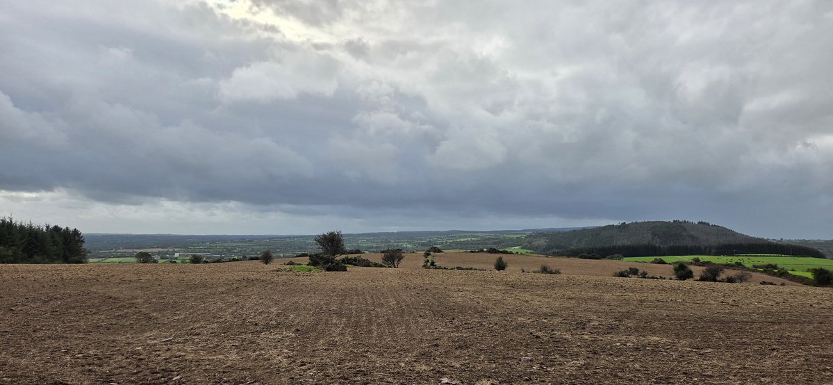 fitzyok's tweet photo. Maidin brea eile chun siúil i Mainistir Fhearmaí(pleasant morning for a walk in Fermoy). Asal liath(grey donkey) ag faire(👀) agus asal dubh(black donkey) i bhfolach(hiding). Crann briste tar éis na stoirme(storm damaged tree). Báisteach 🌧🤔
#365daysofGaeilge
#365daysofwalking https://t.co/ytzyTY0dla