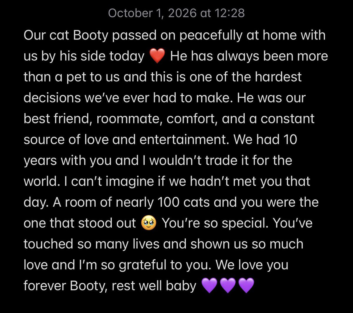 Hey_Syri's tweet photo. We love you more than world Booty, you made me and @Mala_Moot’s lives so much better ❤️ Thank you for everything https://t.co/l7zDk6afsY