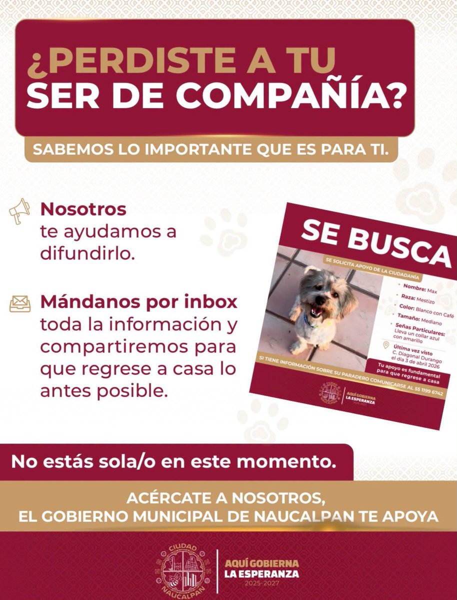 GobNau's tweet photo. ¿Tu ser sintiente se extravió? 🐾

Sabemos lo importante que es para ti y queremos ayudarte a encontrarlo.

Si tu perrito o gatito se perdió, envíanos por inbox una fotografía reciente, su nombre, características, la zona donde fue visto por última vez y un número de contacto. Compartiremos su ficha en nuestras redes sociales para que más personas puedan ayudar a localizarlo.

Porque en Ciudad Naucalpan también cuidamos a quienes forman parte de nuestras familias.

#AquiGobiernaLaEsperanza #Naucalpan #BienestarAnimal