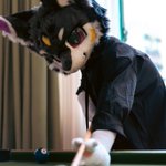 Photo by 幺玄 (@PolymerYy)