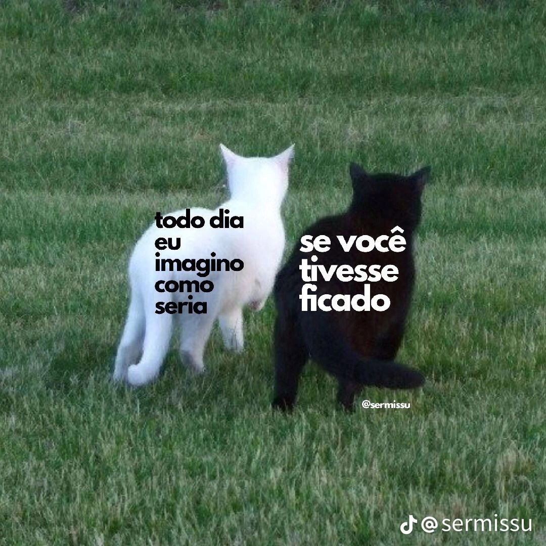 acervobichinho's tweet photo. https://t.co/xPU9bbOyQd