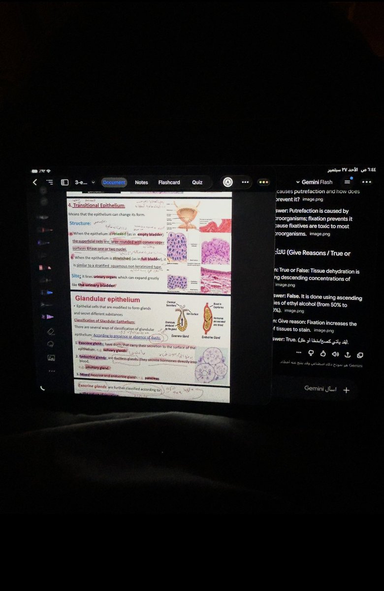wllul3's tweet photo. https://t.co/L9cO9wqn6n