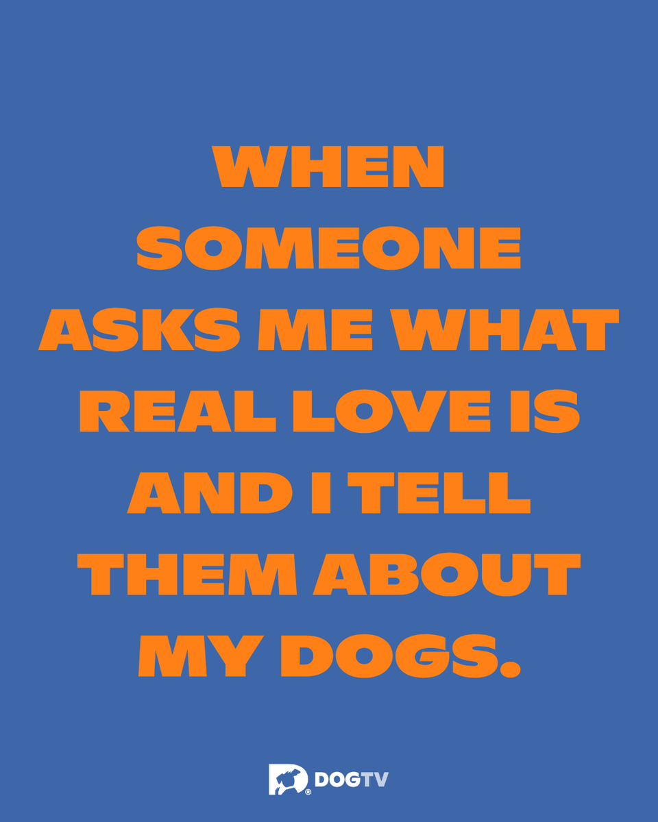 dogtv's tweet photo. Hope you've got a minute because we could talk about this all day! 🐶🫶

#DogPeople #DogMom #DogDad #DOGTV https://t.co/ra4JmVVTnm