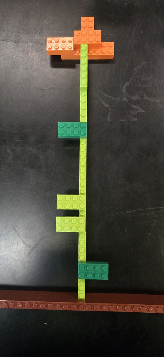 kalzimm's tweet photo. 🌱🧱 Building our plant knowledge one LEGO at a time! Today, our 1st grade scientists 👩🏾‍🔬 used LEGO bricks to model the different parts of a plant and show how each part helps the plant survive. Hands-on science + creativity = some seriously awesome learning! 🌿✨ https://t.co/keJNyrcAoc