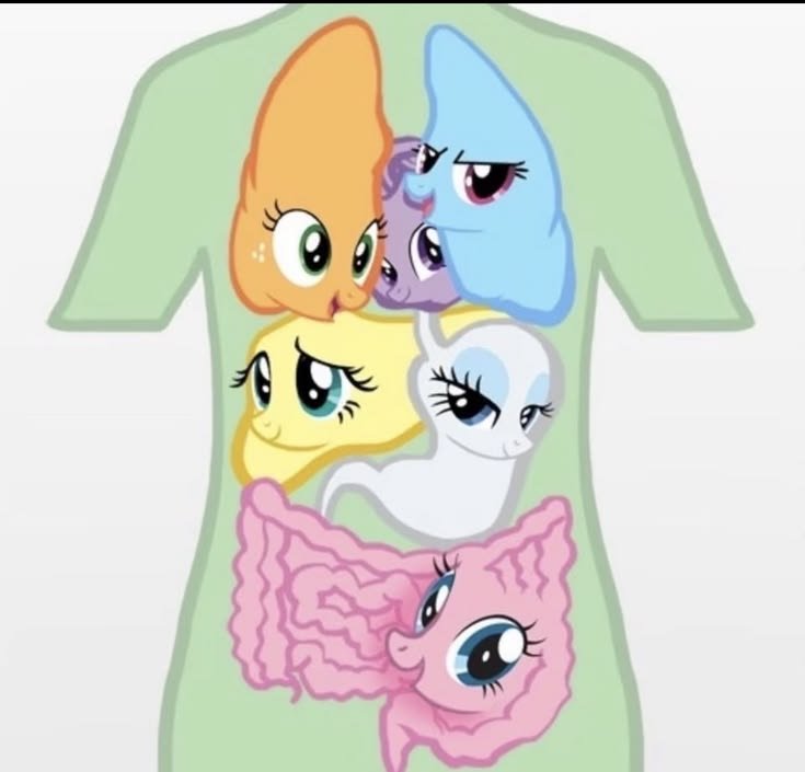 alextwinkl's tweet photo. dream body wallahi
#edtwt #mlp https://t.co/IRfi4gTyXS