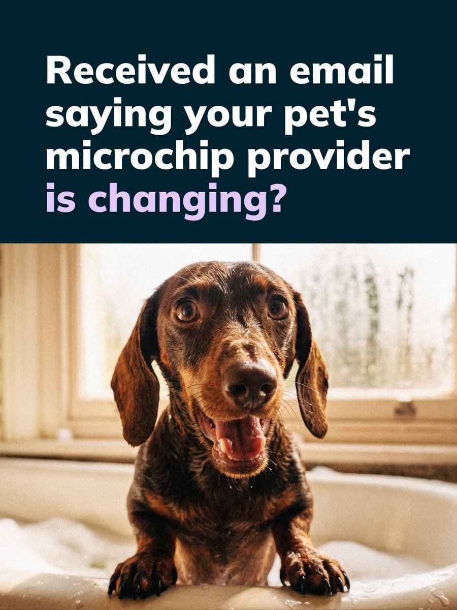 PetTheftReform's tweet photo. Received an email saying your pet's microchip provider is changing? Or been asked to start paying a yearly fee to keep details up to date? Here's how to check that your pet is still correctly registered - and what your options are to avoid a yearly fee 🐾 https://t.co/h9546caoyy https://t.co/5TbqOfKSZt