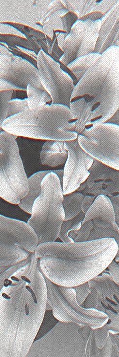 virtualmnlght's tweet photo. ⠀⠀⠀⠀

⠀⠀día libre, día de frío 🦎

⠀⠀ https://t.co/95DwVsgjL8