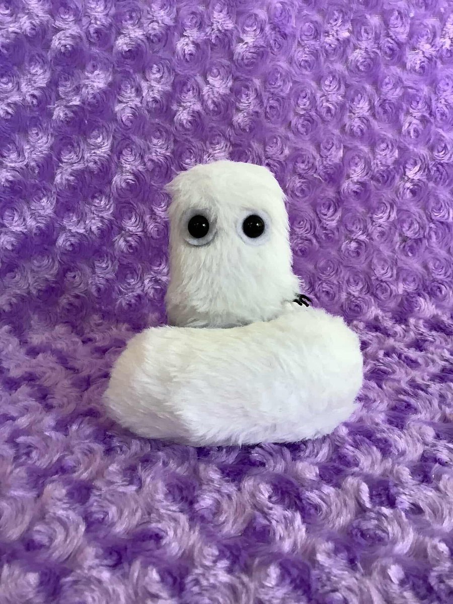 Dalidalyoxoxo's tweet photo. He just like 🧎‍♂️👀🤍✨️ https://t.co/thyj3UluTa