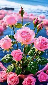 tag_nine's tweet photo. #بدايـــــــــــــــہ https://t.co/MEC2VavWW6