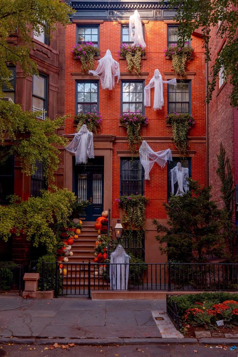 earthviewss1's tweet photo. October in New York City🇺🇸 👻 🍁 https://t.co/NIiEv5ZV4x