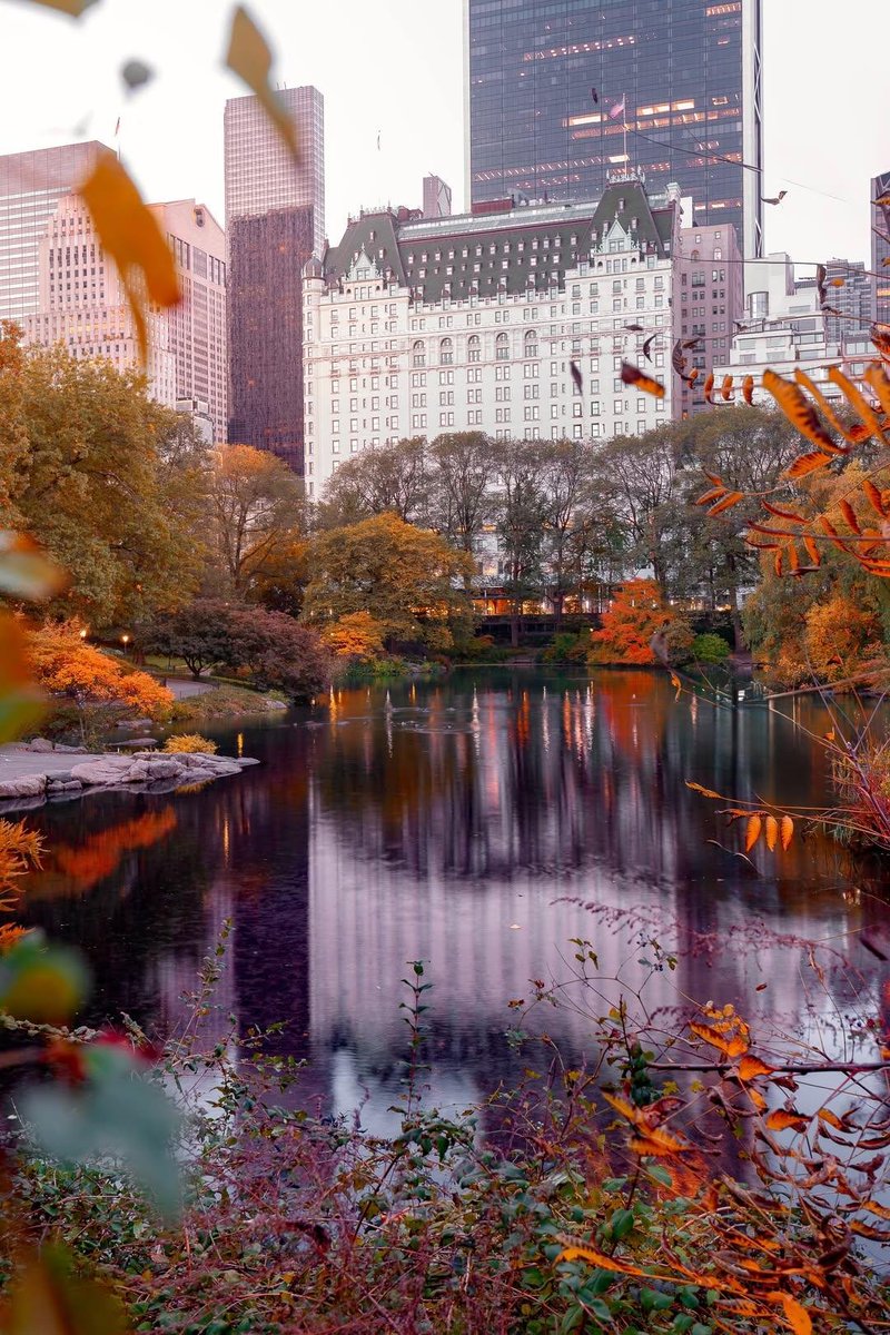 earthviewss1's tweet photo. October in New York City🇺🇸 👻 🍁 https://t.co/NIiEv5ZV4x