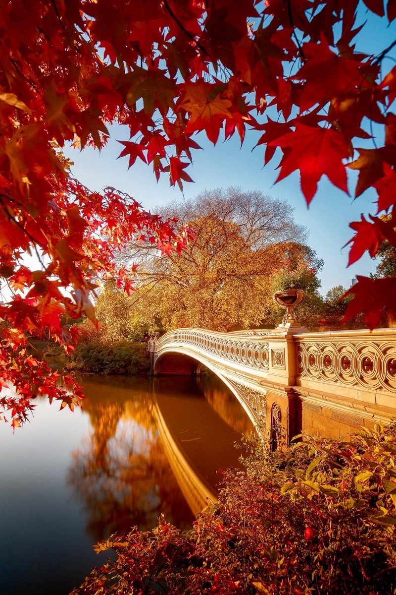earthviewss1's tweet photo. October in New York City🇺🇸 👻 🍁 https://t.co/NIiEv5ZV4x