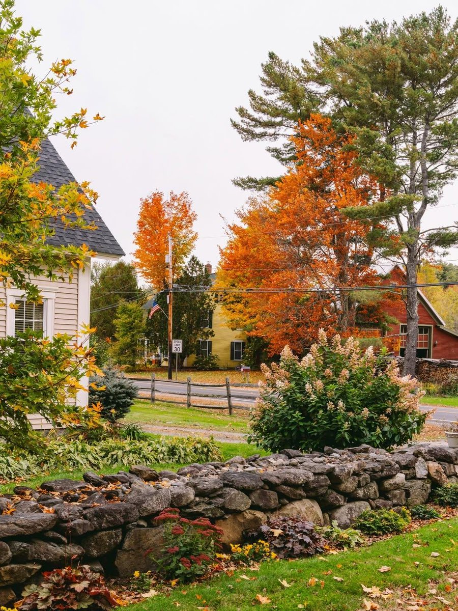 naturebeauty760's tweet photo. New England https://t.co/dvfOYJWll7