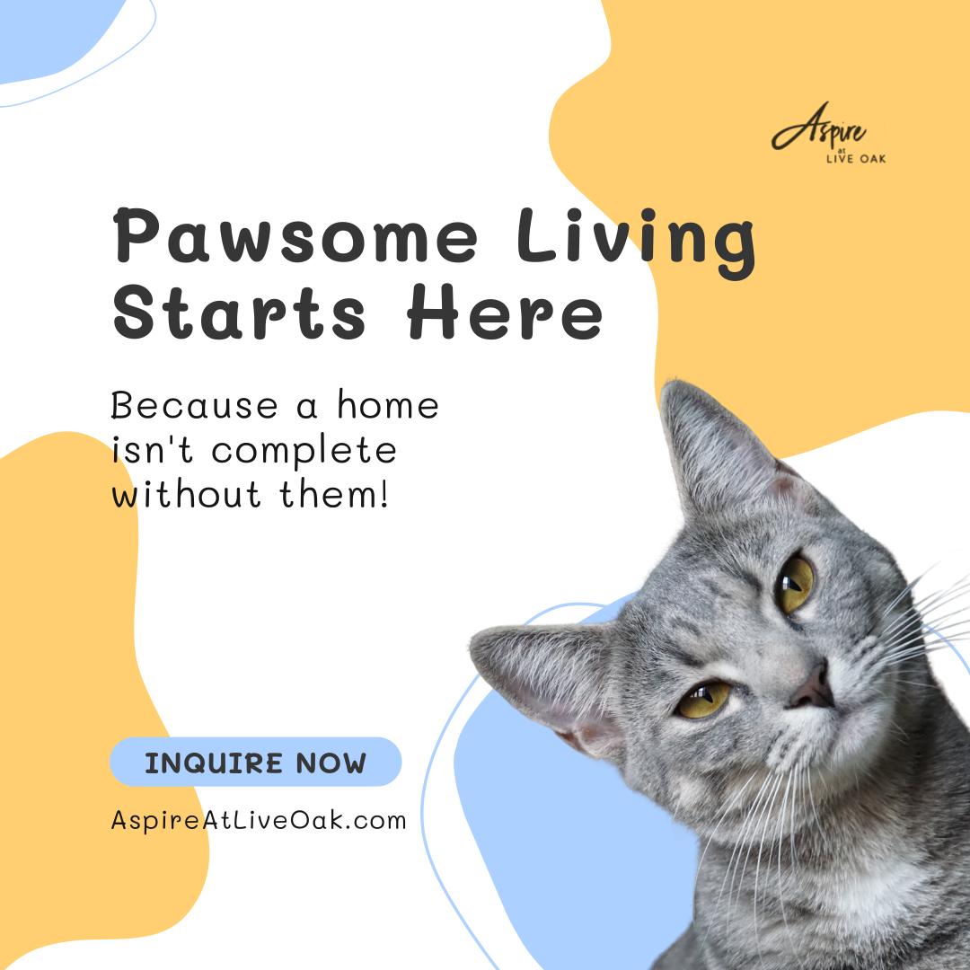aspireliveoak's tweet photo. Discover a welcoming environment at Aspire at Live Oak, where our pet-friendly community ensures that every member of your household feels at home. Enjoy the convenience and comfort of a place designed with your furry friends in mind.
 
Equal Housing Opportunity

#PetFriendly... https://t.co/Gp9DWUM19y