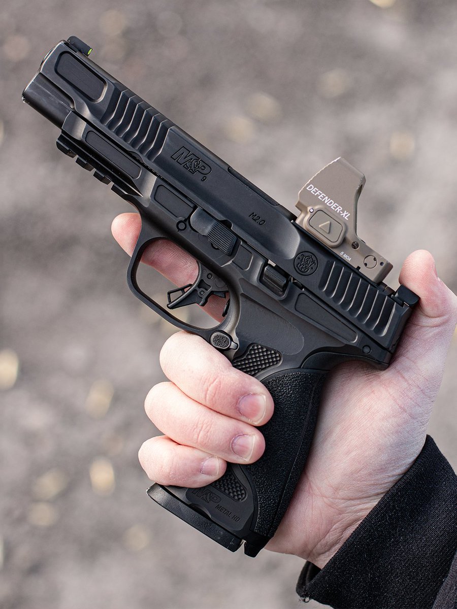 Smith_WessonInc's tweet photo. the key to happiness is a steel frame m&amp;p https://t.co/UlFIrI6NSS