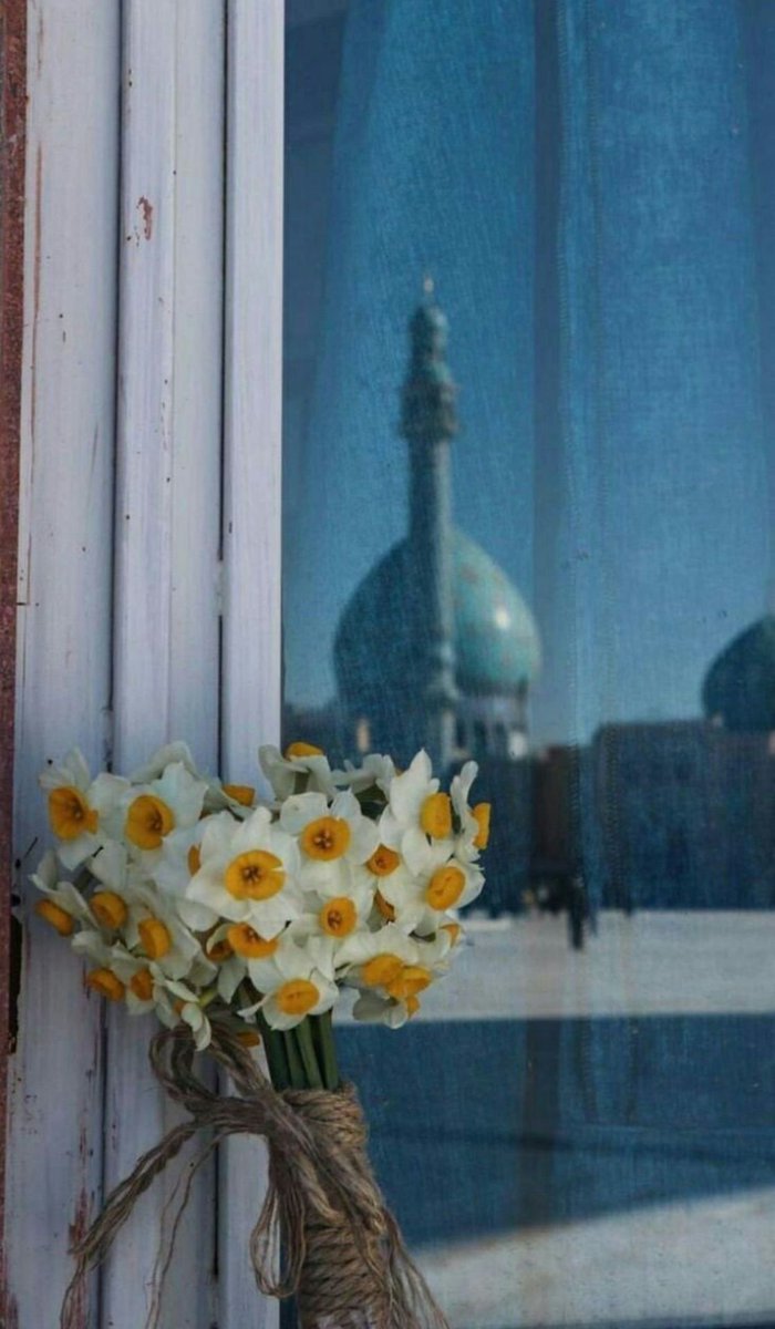 mahyaaa_o's tweet photo. یک سینه پُر از
قصهٔ هجر است ولیکن
از تنگ‌ دلی طاقتِ گفتار ندارم...
‹یا‌صاحب‌الزمان›❤️🌱 https://t.co/zPHNCCmsZG