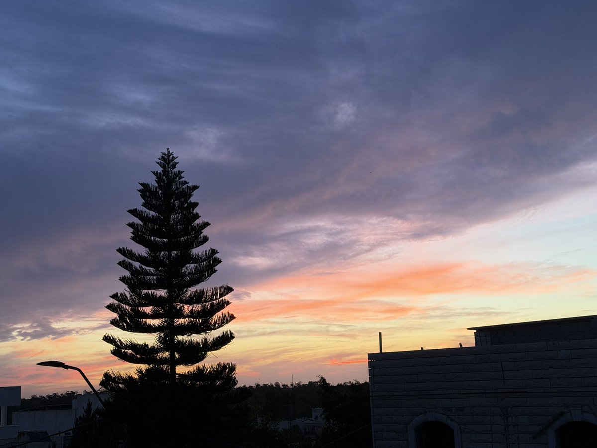 Doaa854 tweet picture