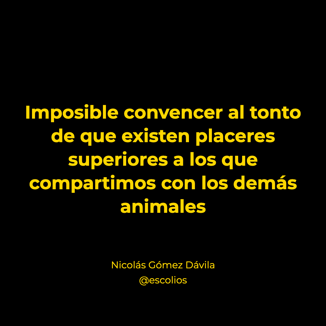 escolios tweet picture