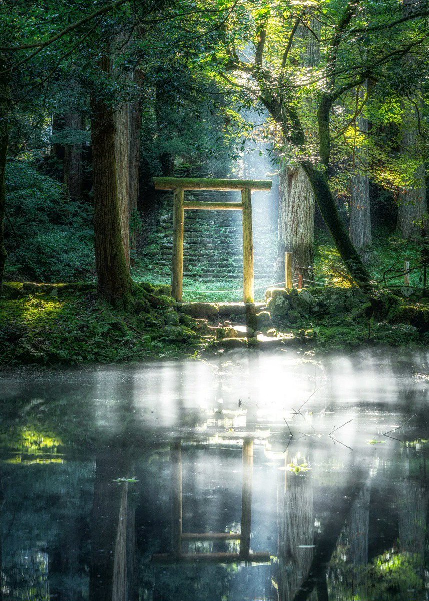 deepnessx's tweet photo. Fukui, Japan. https://t.co/j5m1HnniTE