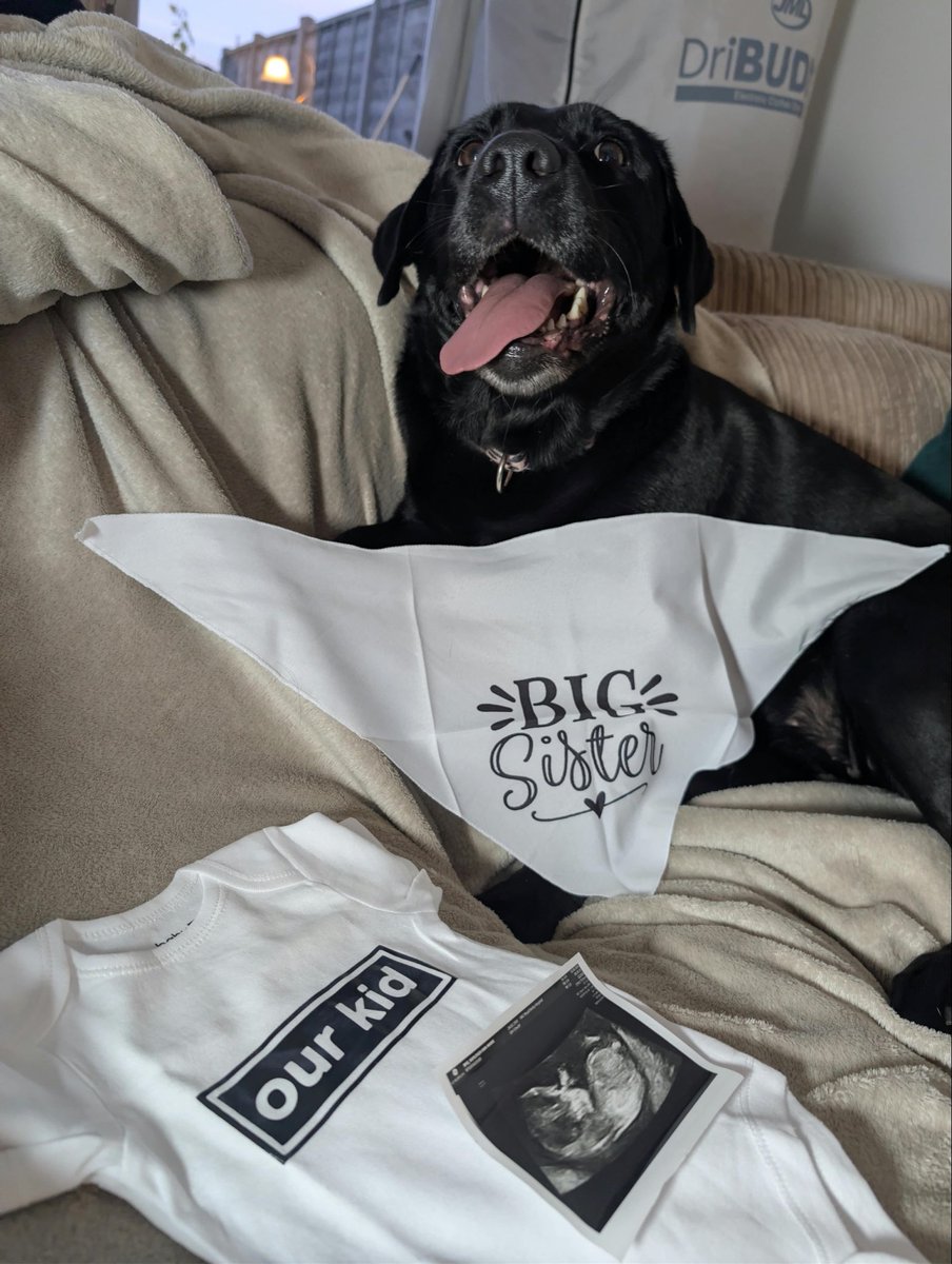 yhellokayleigh's tweet photo. Still mega jealous of everyone who got @oasis tickets, but we need to save our pennies…

Because we’re having a baby! 🤰🏼🙏🏼

After 10 years of infertility and several losses, we’re incredibly grateful to be having a baby of our own. 💛

You + me = Baby B 👶🏼 https://t.co/chR0AHj1uV