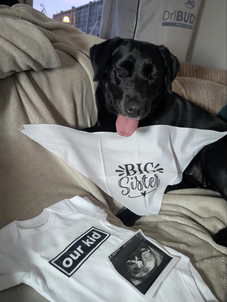 yhellokayleigh's tweet photo. Still mega jealous of everyone who got @oasis tickets, but we need to save our pennies…

Because we’re having a baby! 🤰🏼🙏🏼

After 10 years of infertility and several losses, we’re incredibly grateful to be having a baby of our own. 💛

You + me = Baby B 👶🏼 https://t.co/chR0AHj1uV