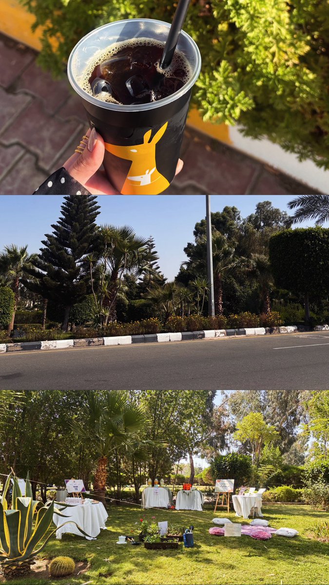 nee_v23's tweet photo. أجواء مختلفة اليوم 🌱
عشنا تجربة زراعية جميلة ضمن فعالية
 «من بذرة إلى أثر»
تعلّمنا فيها أن الأثر الجميل ممكن يبدأ من بذرة صغيرة، وينمو مع الوقت ليصنع فرقًا أكبر. 🌿
🌿🌳👩‍🌾 
#عمادة_شؤون_الطلاب 
#جامعة_الملك_خالد https://t.co/WAChdeDuu7