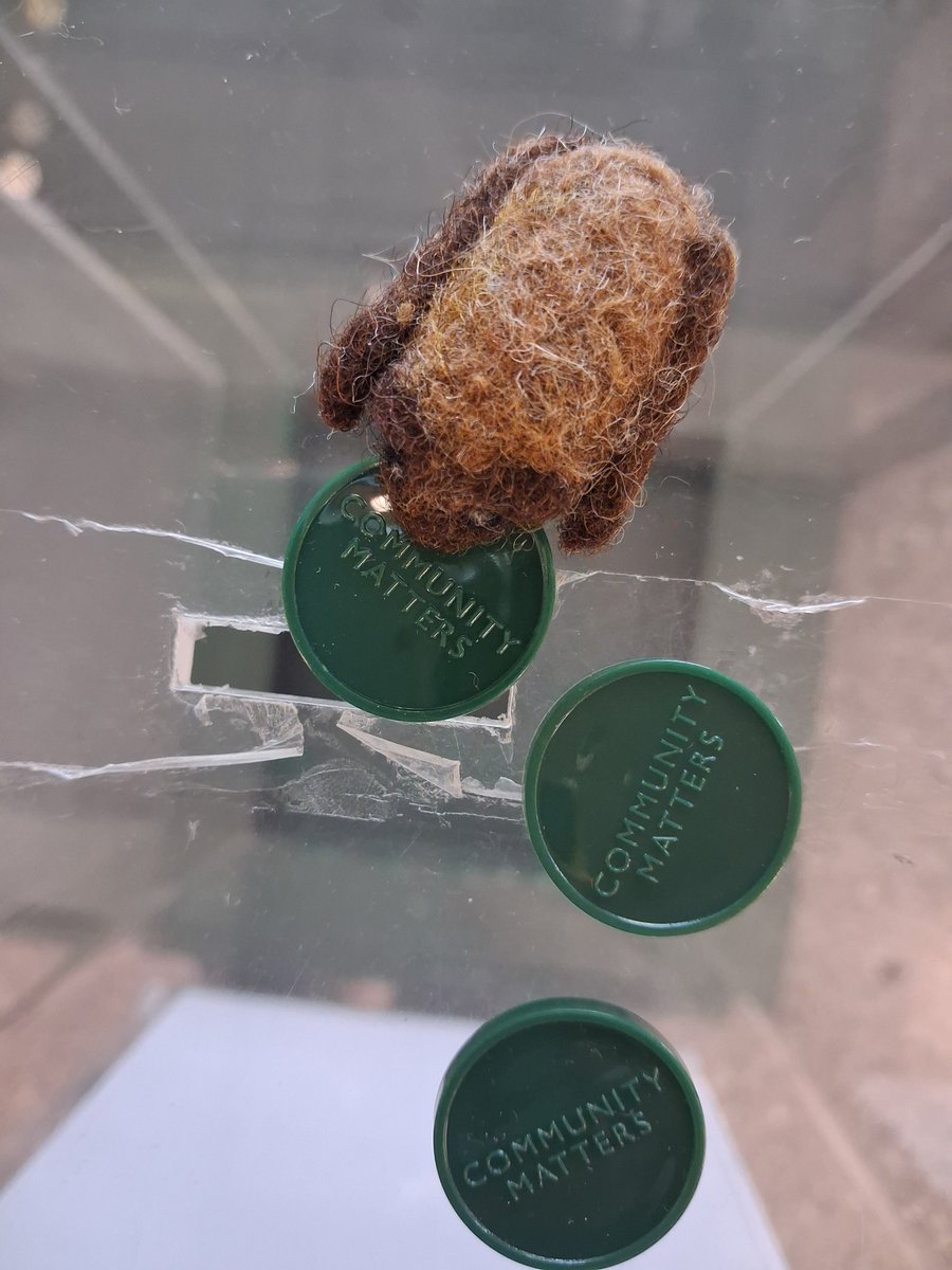 eveshambatcare's tweet photo. Took Brian and Hobart to @waitrose Evesham today as we are one of their #CommunityMatters recipients for the month. Brian #CommonPipistrelle was impressed that for once he was bigger than something! #Fundraising #PopularityContest #WaitroseEvesham https://t.co/oiYyTFTmMj
