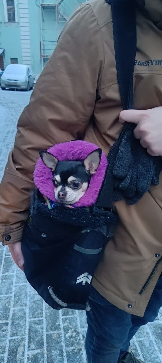 Volgamain's tweet photo. Неожиданная зимняя фотка https://t.co/QjRy4LieTS