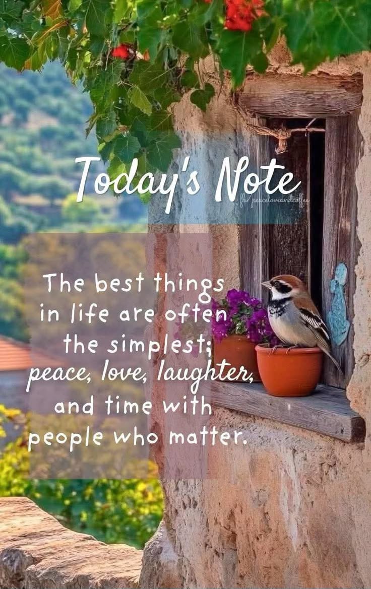 LifeWithJohn's tweet photo. The best things in life are often the simplest;
peace, love, laughter, and time with people
who matter. ~ Let that sink in! https://t.co/xG8XqQWUqo