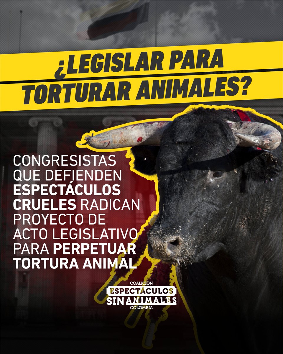 EspSinAnimales's tweet photo. 🚨 #ALERTA
Con un articulado desconectado de la jurisprudencia, algunos congresistas buscan revertir lo establecido por la Ley 2385 de 2024 y la Corte Constitucional.
Pretenden que toros, caballos y gallos sigan siendo víctimas de violencia y explotación como espectáculo. https://t.co/c5OiGe8i4G