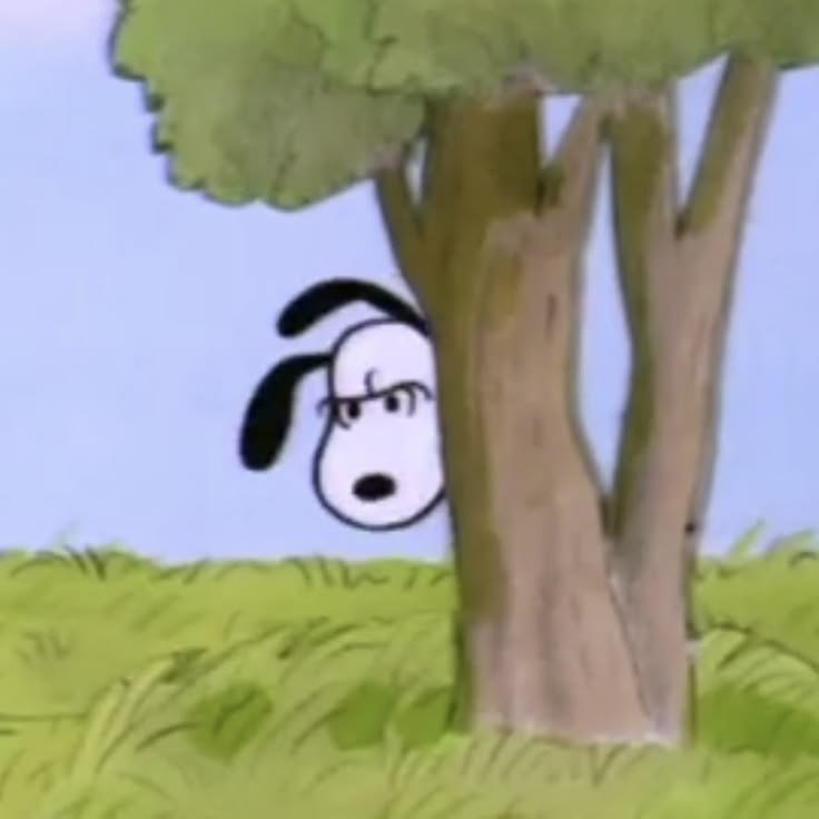 realsnooopy's tweet photo. https://t.co/dx9sOVeltc