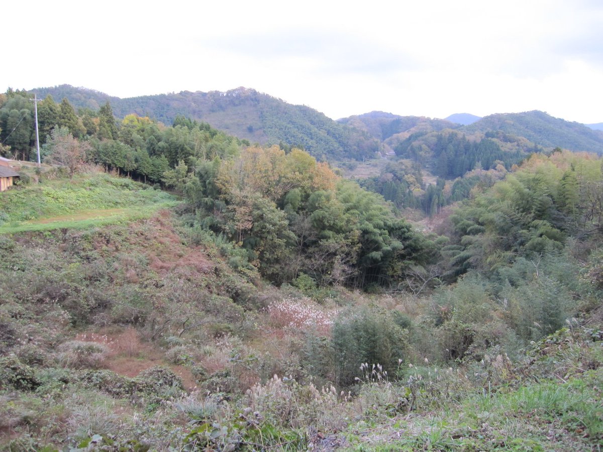 paperconsultant's tweet photo. 写真は、秋の松江市八雲町の山あい。
この町の別所という集落���は、明治32・33年に土佐から職人を招き、紙漉きの技術を改良しました。
それがのちの出雲民藝紙の土台になります。
#出雲民藝紙 https://t.co/wmNuLpDtRH