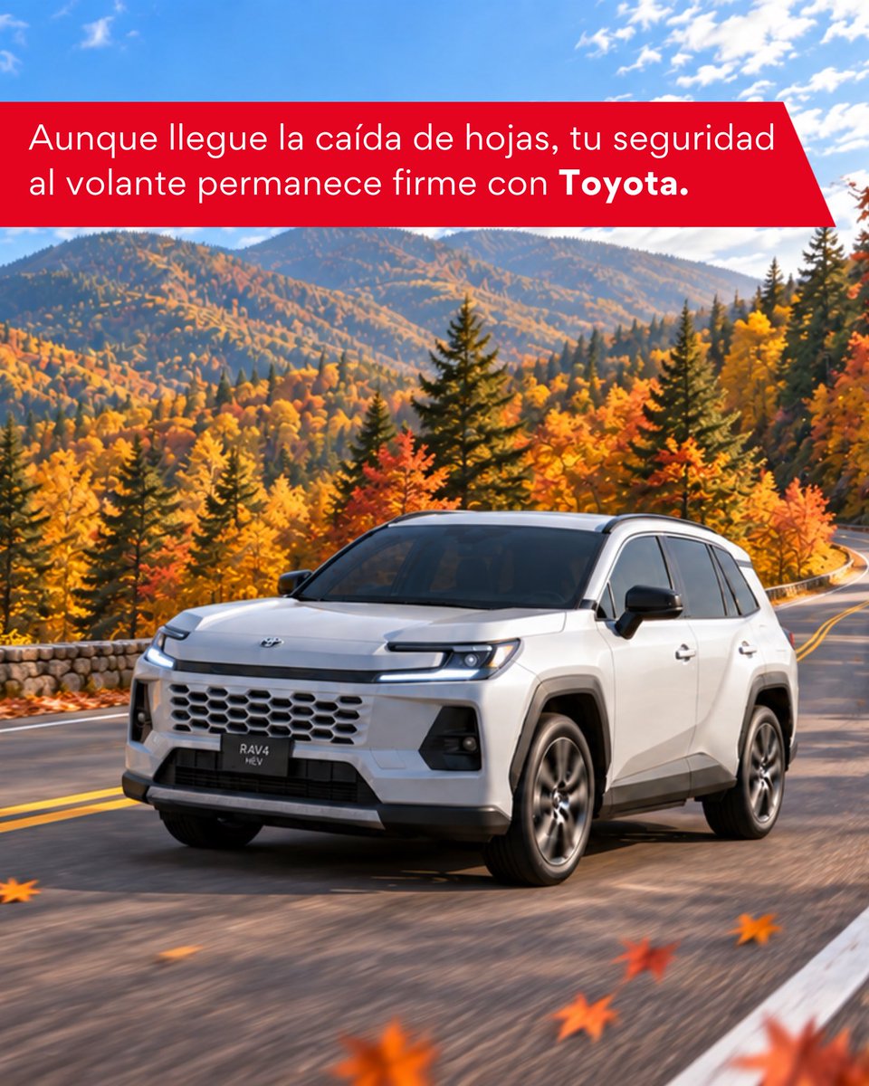 ToyotaOax's tweet photo. Ofrecemos eficiencia y seguridad en cada modelo, con tecnología diseñada para adaptarse a las condiciones de la temporada y mantener un desempeño confiable. 💯
.
.
.
#TOYOTA #TOYOTAOaxaca #Octubre #Otoño #Autos https://t.co/YRuBbYh2Hq
