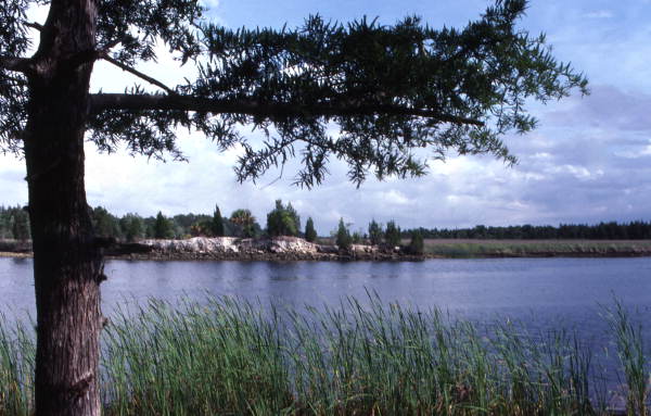 StateLibraryFL's tweet photo. On #TourismTuesday, we’re venturing out to the St. Marks National Wildlife Refuge in Wakulla County. Learn more about this refuge with this ephemeral guide in our Internet Archive collection: https://t.co/sF6Ed5pqcI enjoy these photos from our collection. @FLMemory @USFWS https://t.co/xu9kDroTCz