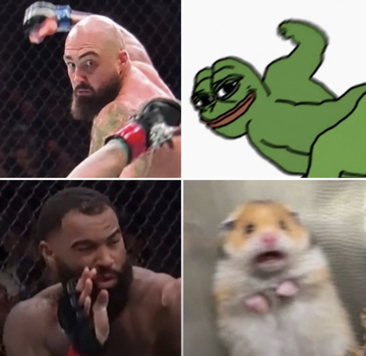 UFCFIFTHROUND's tweet photo. I Am Never Going To Forget This 😭 https://t.co/DwioHDyA6N