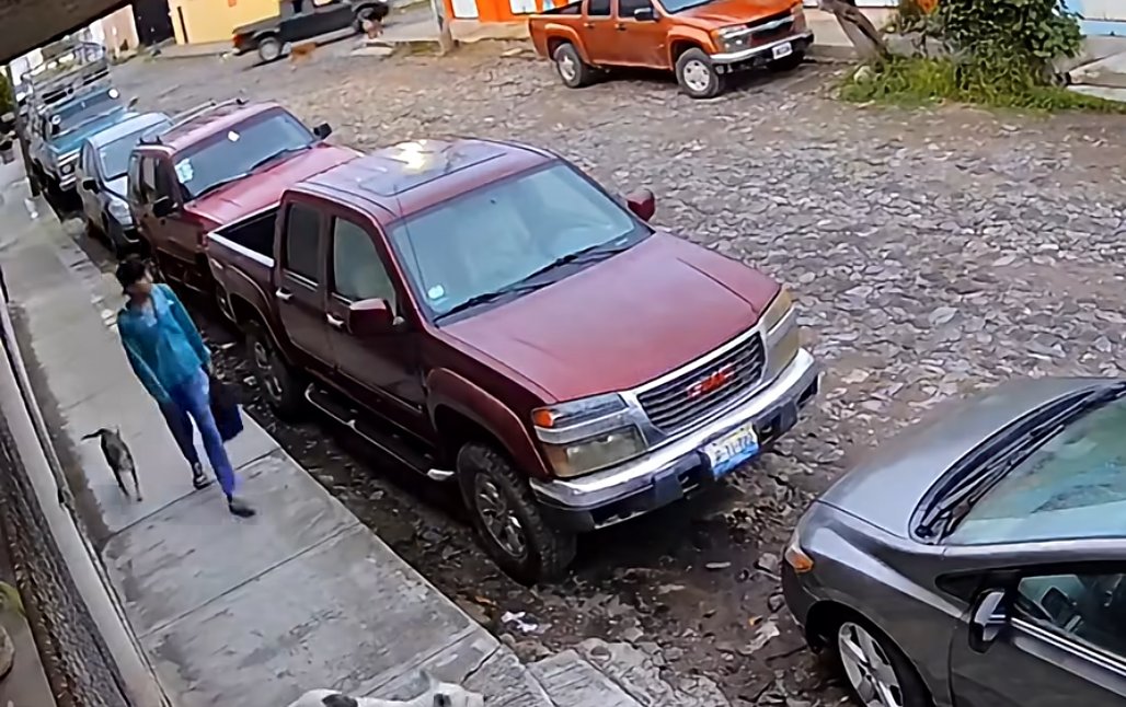 muchosdoc's tweet photo. Captan a presunto ladrón de cosas en carros en #Etzatlán https://t.co/K3UZBBqxWV https://t.co/isDagmX5tm