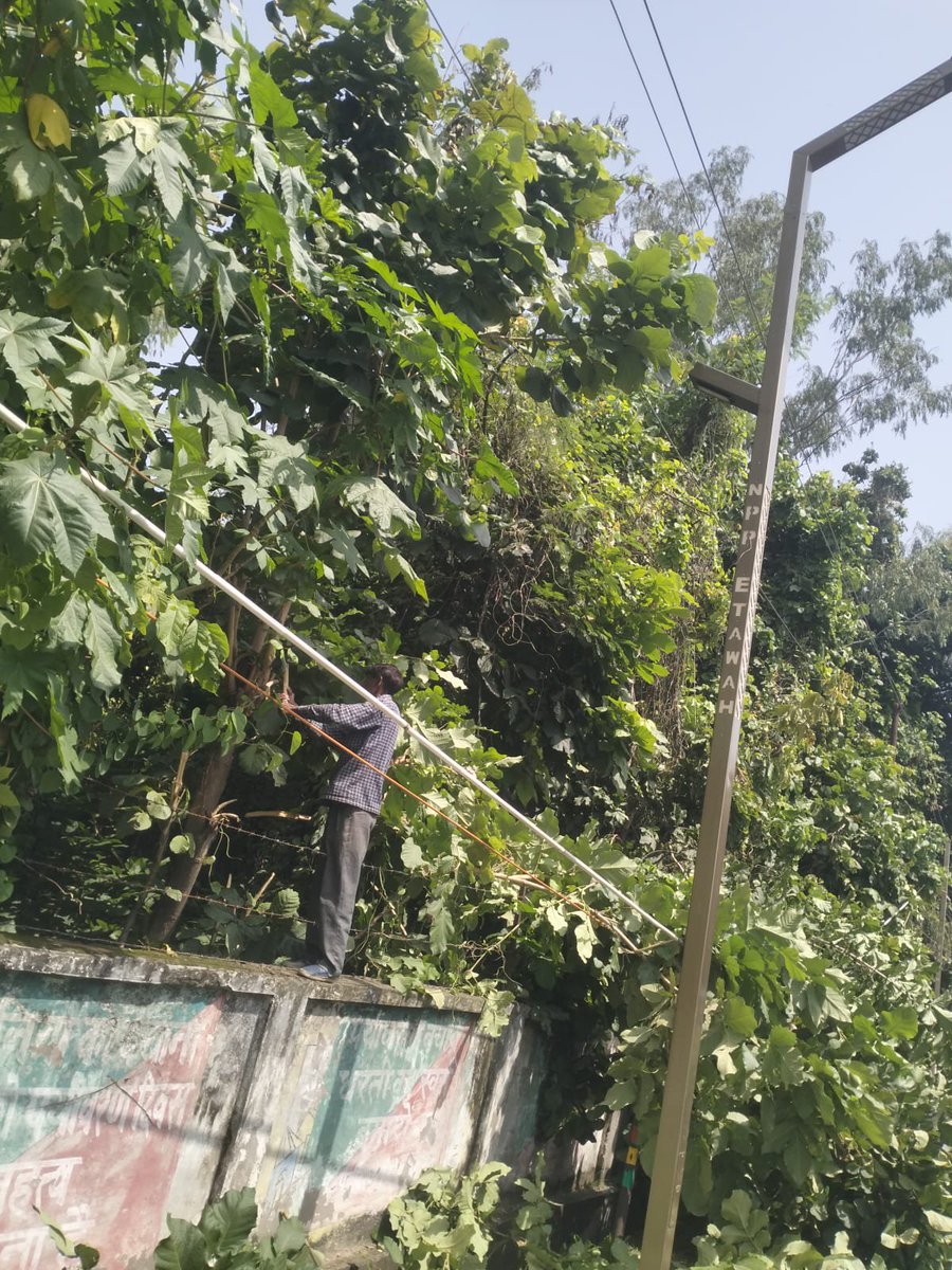 dvvnletawah01's tweet photo. इटावा के उपकेंद्र मेनपुरी फाटक के अंतर्गत फीडर नंबर-03/पुलिस लाइन पर विद्युत लाइनों के आसपास पेड़ों की छंटाई (Tree Pruning) का कार्य कराया गया।
#अनुरक्षण_माह #MainpuriFatak #Etawah #TreePruning https://t.co/qhR9yYmqQ1