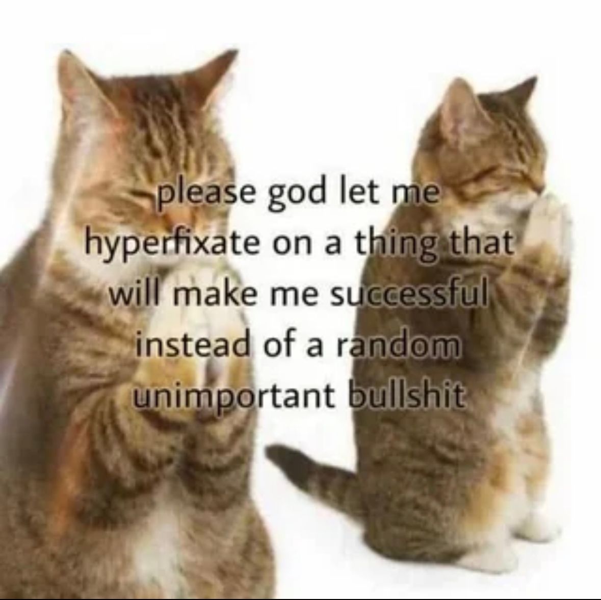 ADHDForReal's tweet photo. https://t.co/blokaN6wbL