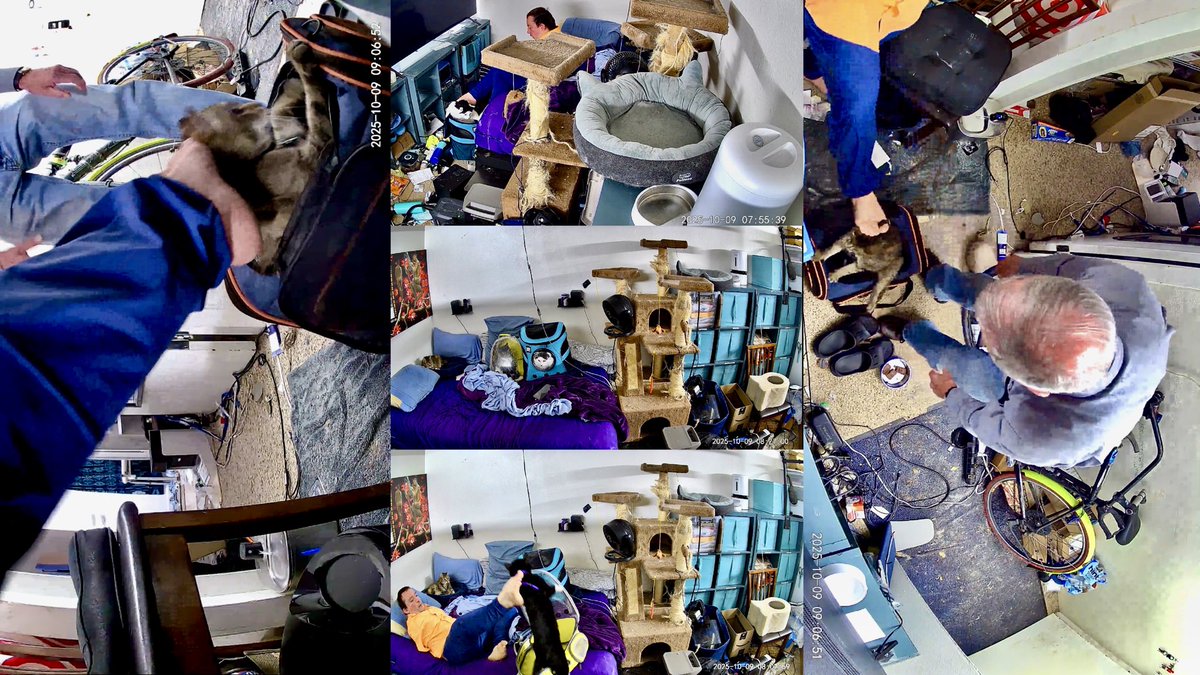 unarmedliving's tweet photo. I can’t believe I’m approaching one year at Lane Terrace having left Portland Towers after 9 years!  

It wasn’t easy getting all three of my feline valentines in their respective carriers to bring them to their new home! 

https://t.co/dvXB4WmUa3 https://t.co/HqjGhIxAJ2