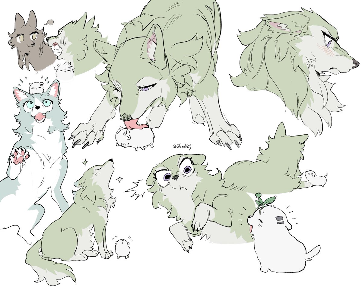 GGnn0529's tweet photo. 🐺 https://t.co/YUGzI2ndIc