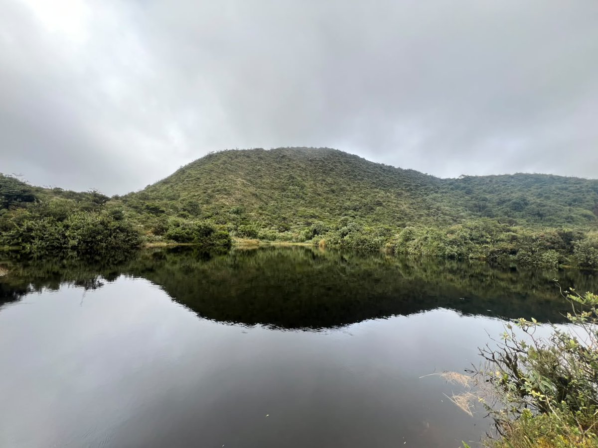 humedalesbogota's tweet photo. Últimos cupos disponibles a la caminata a la laguna de Chinará. Toda la información en👉 https://t.co/tEHAWxQPf2 https://t.co/3icWI33M73