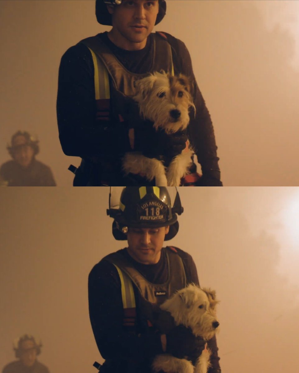 ravibuckleydiaz's tweet photo. EDDIE WITH A PUPPY OH MY GOD 😭 https://t.co/324ZFwnZ4b
