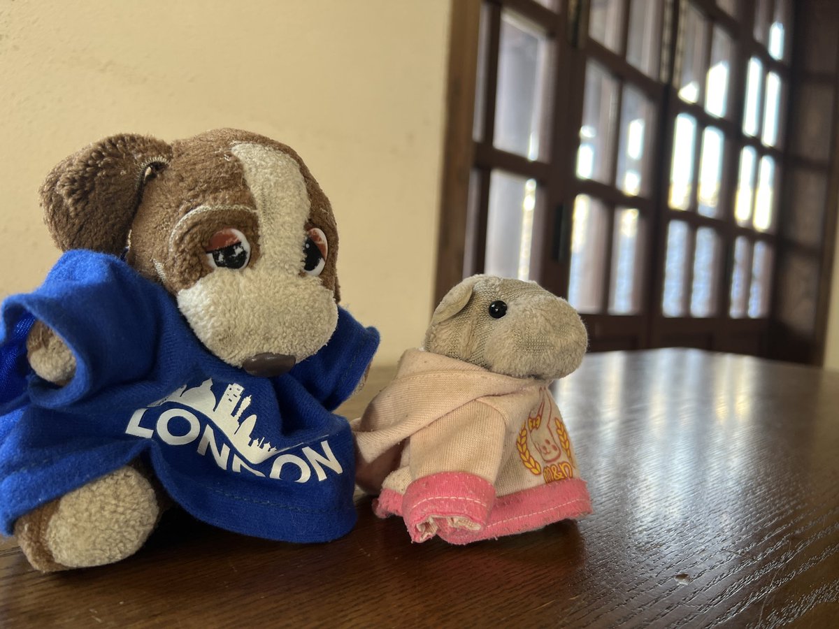 inuwantan's tweet photo. https://t.co/8yc5u8e0vs