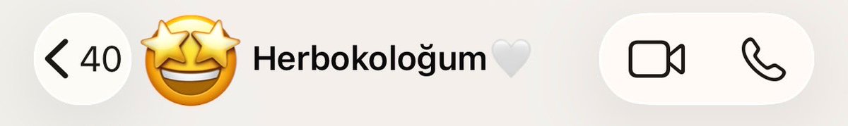 glbenylmz's tweet photo. Chatgpt’nin yetmediği yerde o var:) https://t.co/NkyrUEWAfS